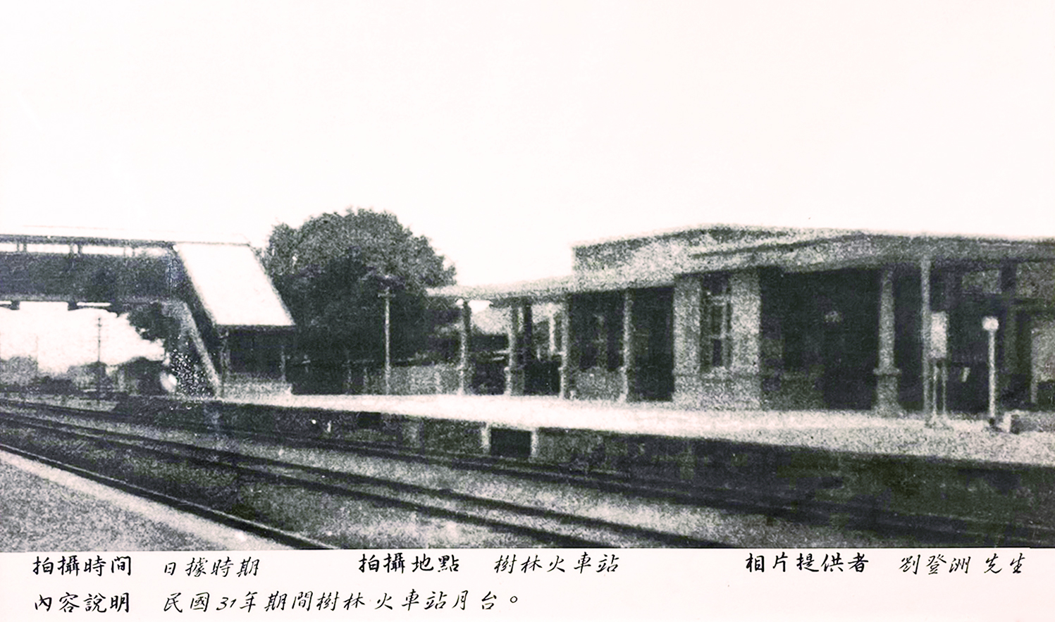 圖《翻拍樹林區公所舊照片． 樹林火車站月台．1942　劉登洲提供》